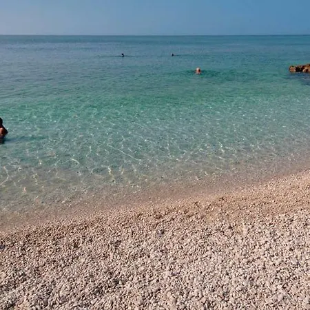 Djana Zadar